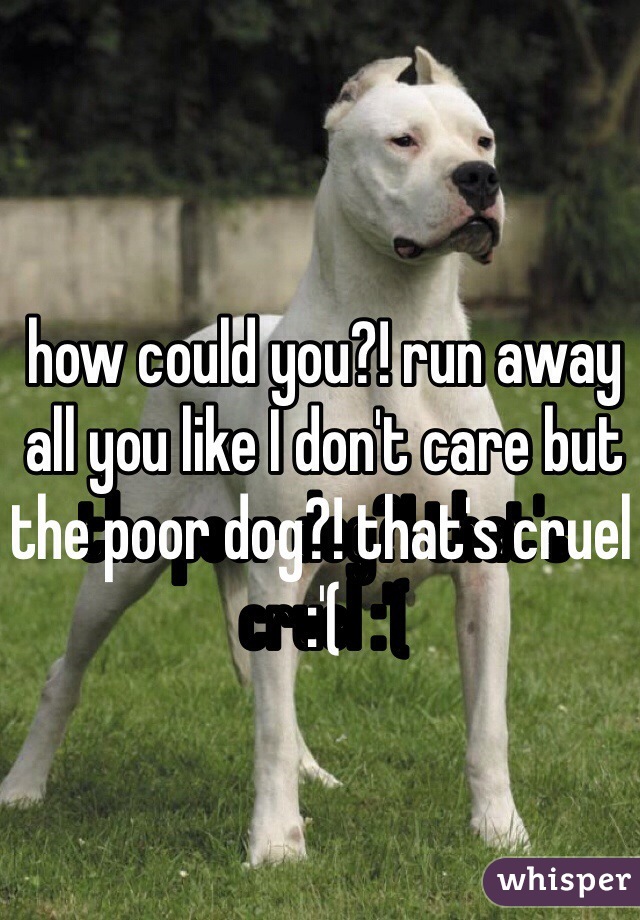 how could you?! run away all you like I don't care but the poor dog?! that's cruel :'(