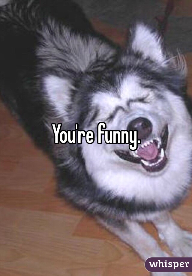 You're funny. 