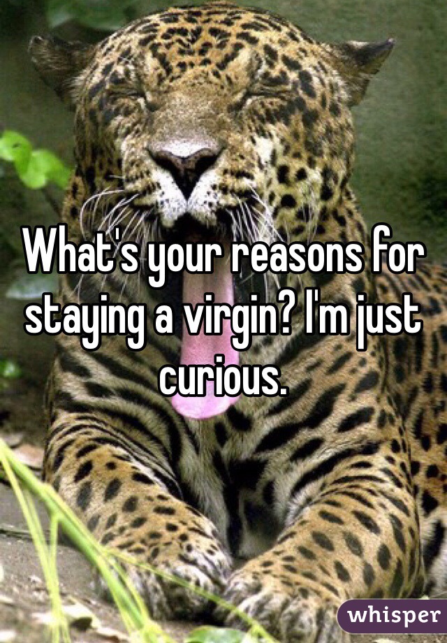 What's your reasons for staying a virgin? I'm just curious. 