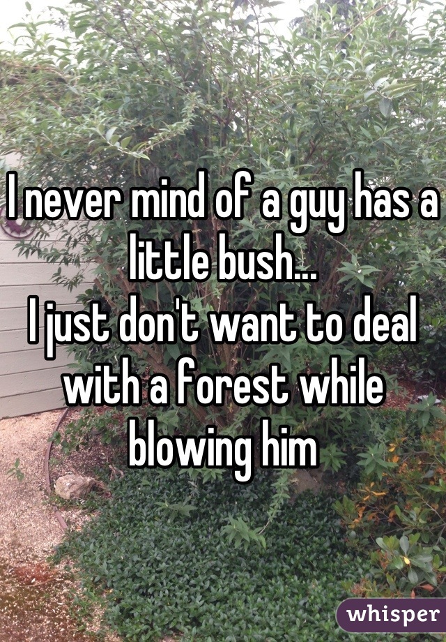 I never mind of a guy has a little bush...
I just don't want to deal with a forest while blowing him
