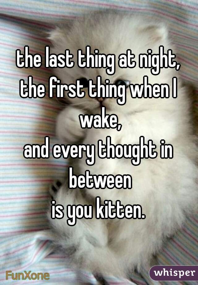 the last thing at night,
the first thing when I wake,
and every thought in between
is you kitten.