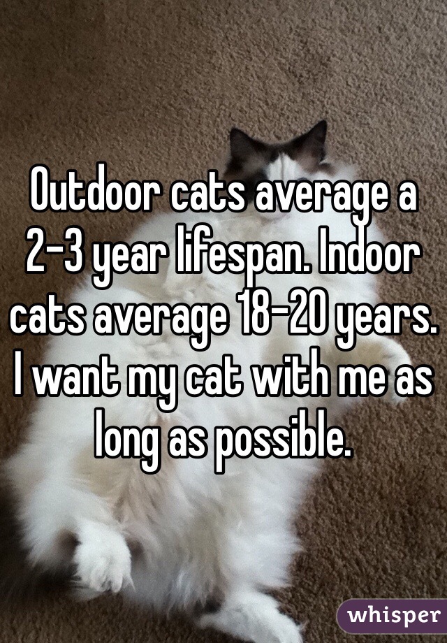 Outdoor cats average a 2-3 year lifespan. Indoor cats average 18-20 years. I want my cat with me as long as possible. 