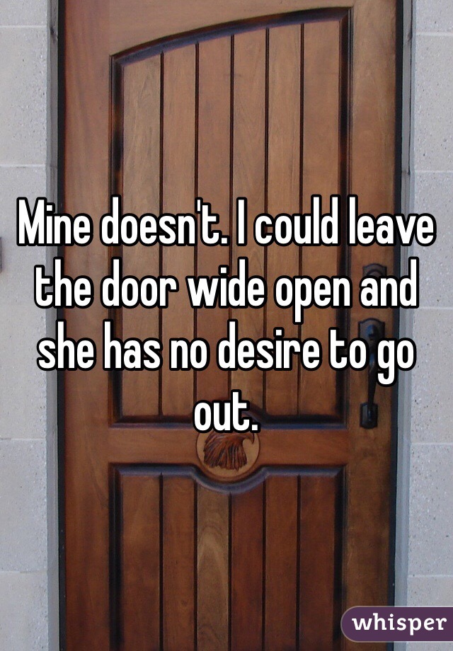 Mine doesn't. I could leave the door wide open and she has no desire to go out. 