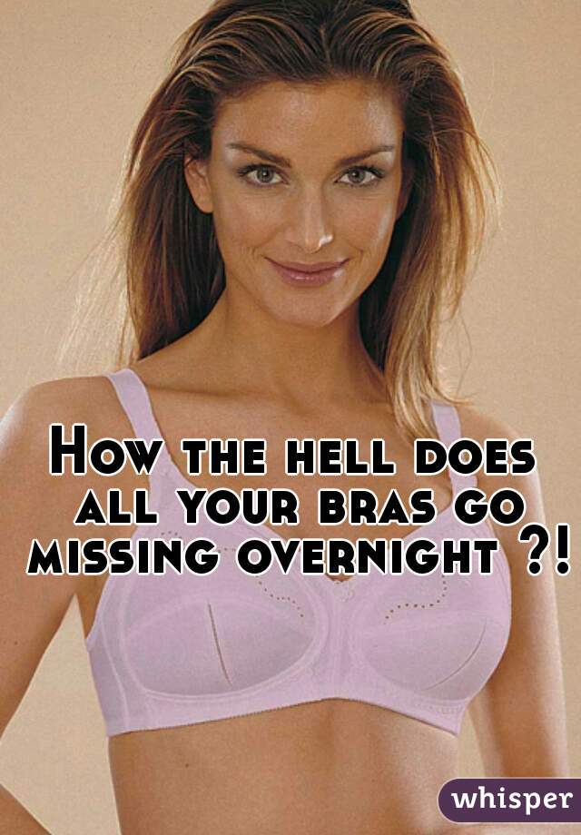 How the hell does all your bras go missing overnight ?!