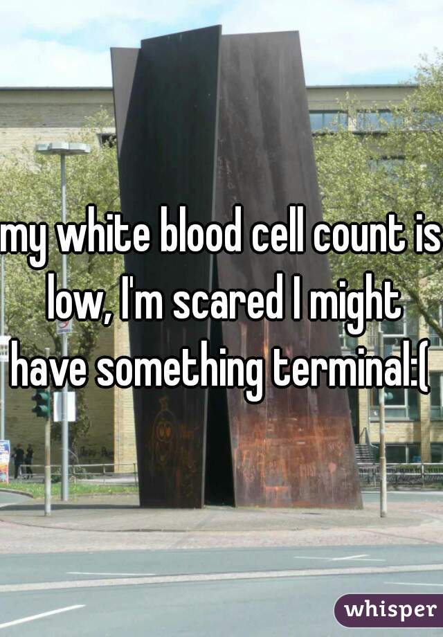 my white blood cell count is low, I'm scared I might have something terminal:( 