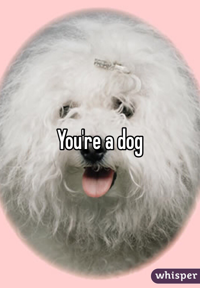 You're a dog 