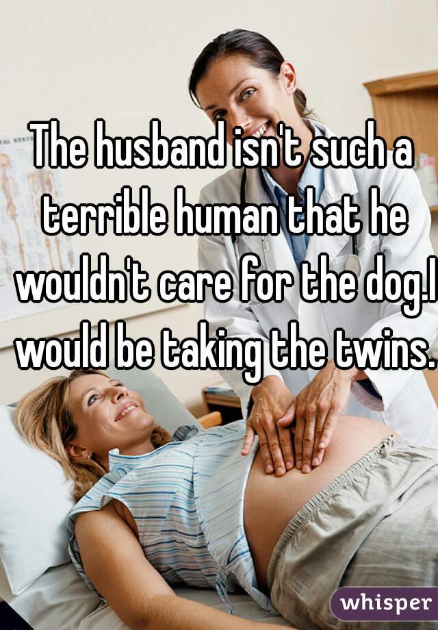 The husband isn't such a terrible human that he wouldn't care for the dog.I would be taking the twins. 
