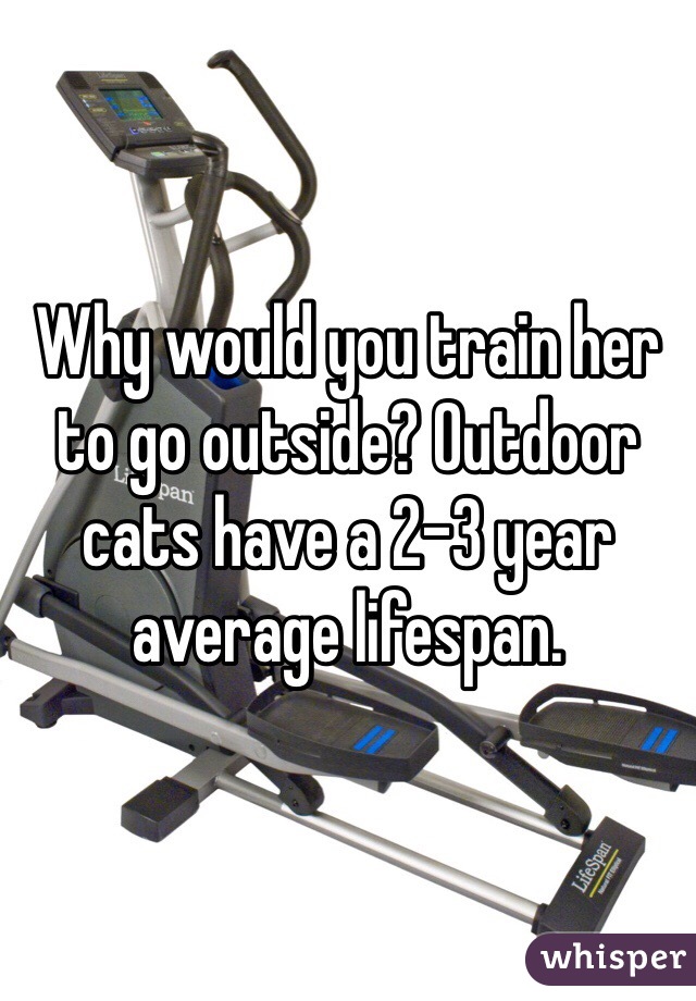 Why would you train her to go outside? Outdoor cats have a 2-3 year average lifespan. 