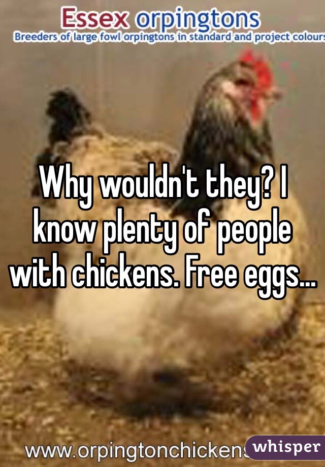 Why wouldn't they? I know plenty of people with chickens. Free eggs...