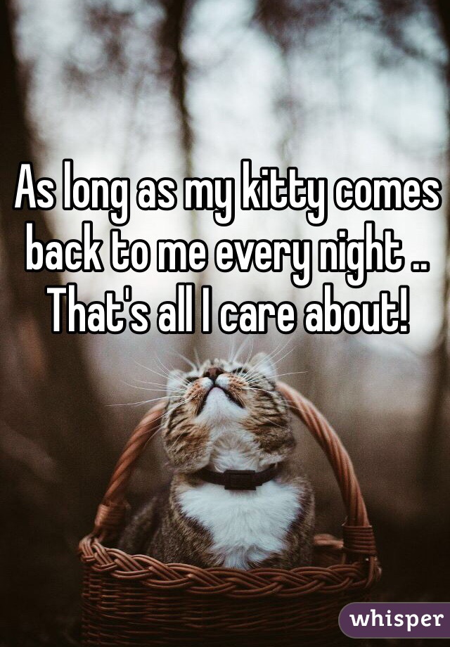As long as my kitty comes back to me every night .. That's all I care about! 