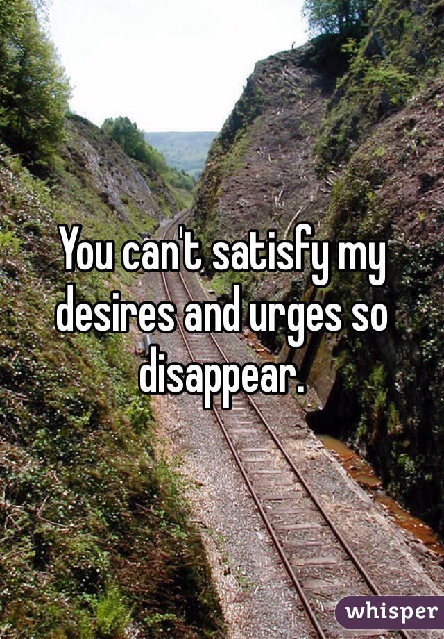 You can't satisfy my desires and urges so disappear. 