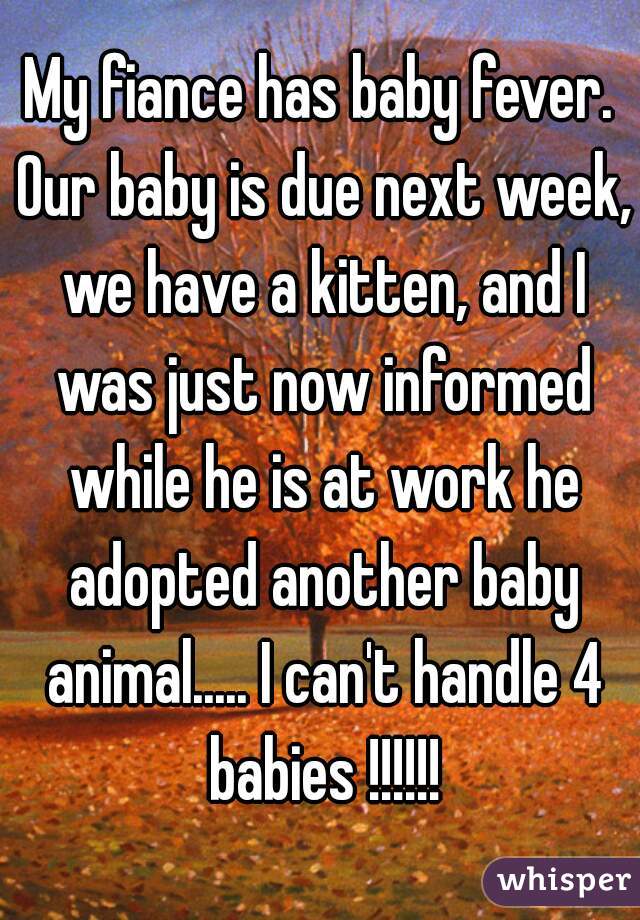 My fiance has baby fever. Our baby is due next week, we have a kitten, and I was just now informed while he is at work he adopted another baby animal..... I can't handle 4 babies !!!!!!