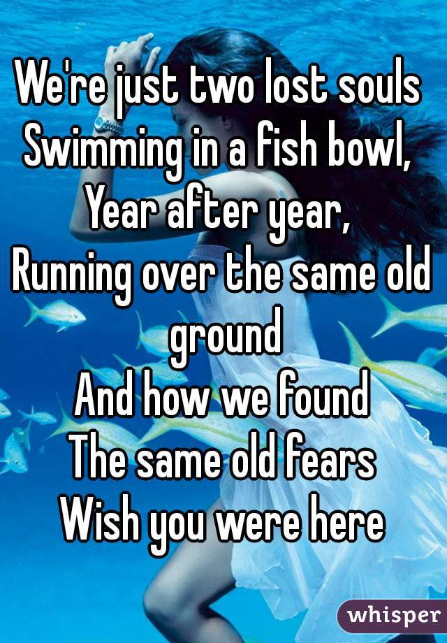 We're just two lost souls 
Swimming in a fish bowl, 
Year after year, 
Running over the same old ground
And how we found
The same old fears
Wish you were here