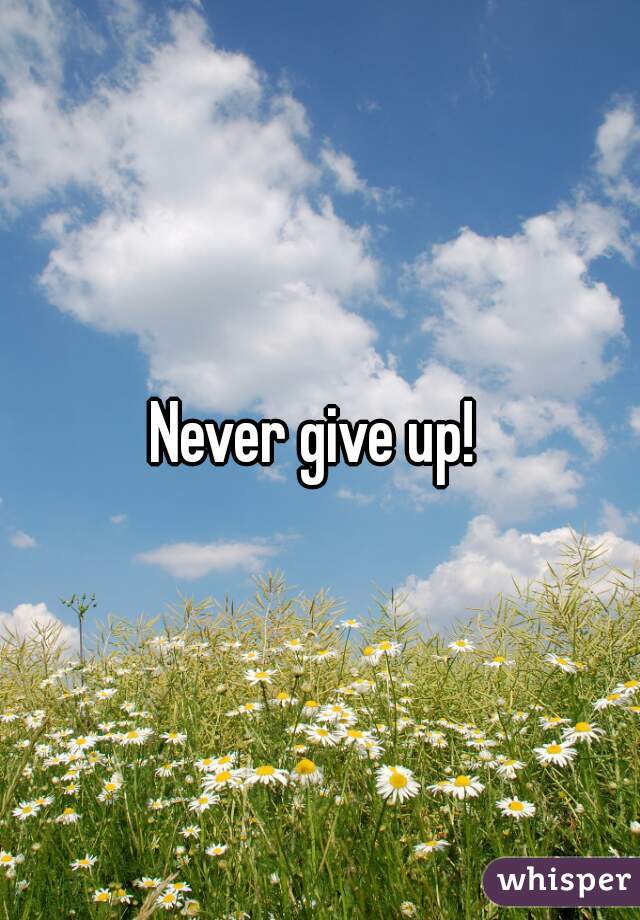 Never give up! 