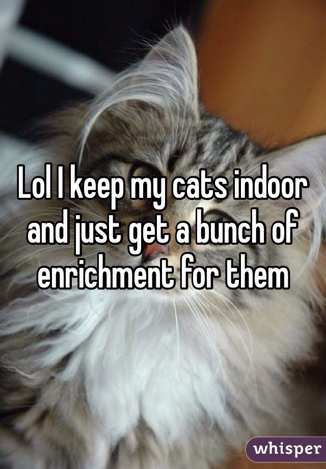 Lol I keep my cats indoor and just get a bunch of enrichment for them