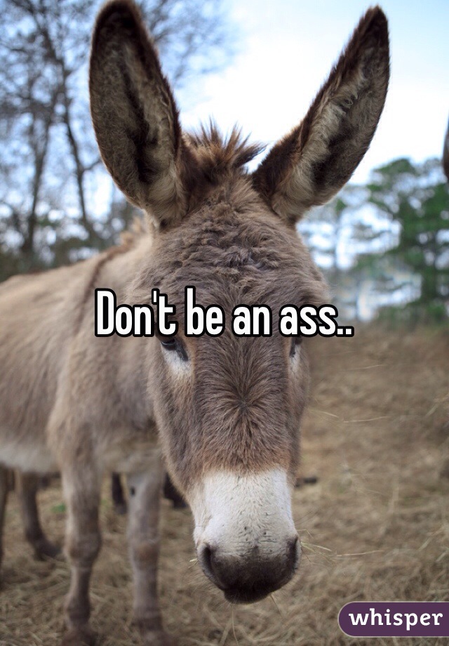 Don't be an ass..