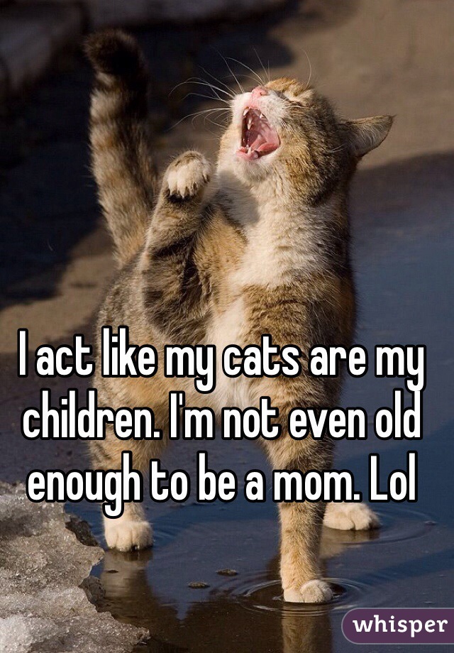 I act like my cats are my children. I'm not even old enough to be a mom. Lol