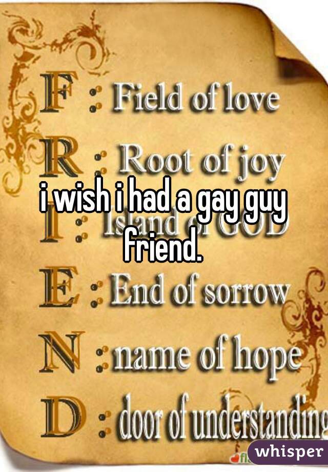 i wish i had a gay guy friend. 
