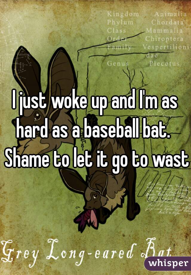 I just woke up and I'm as hard as a baseball bat.   Shame to let it go to waste