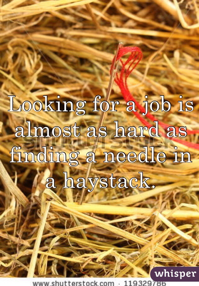 Looking for a job is almost as hard as finding a needle in a haystack.