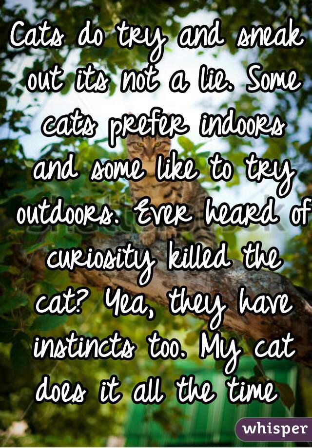Cats do try and sneak out its not a lie. Some cats prefer indoors and some like to try outdoors. Ever heard of curiosity killed the cat? Yea, they have instincts too. My cat does it all the time 