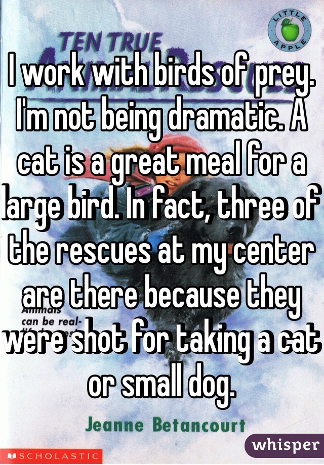 I work with birds of prey. I'm not being dramatic. A cat is a great meal for a large bird. In fact, three of the rescues at my center are there because they were shot for taking a cat or small dog. 