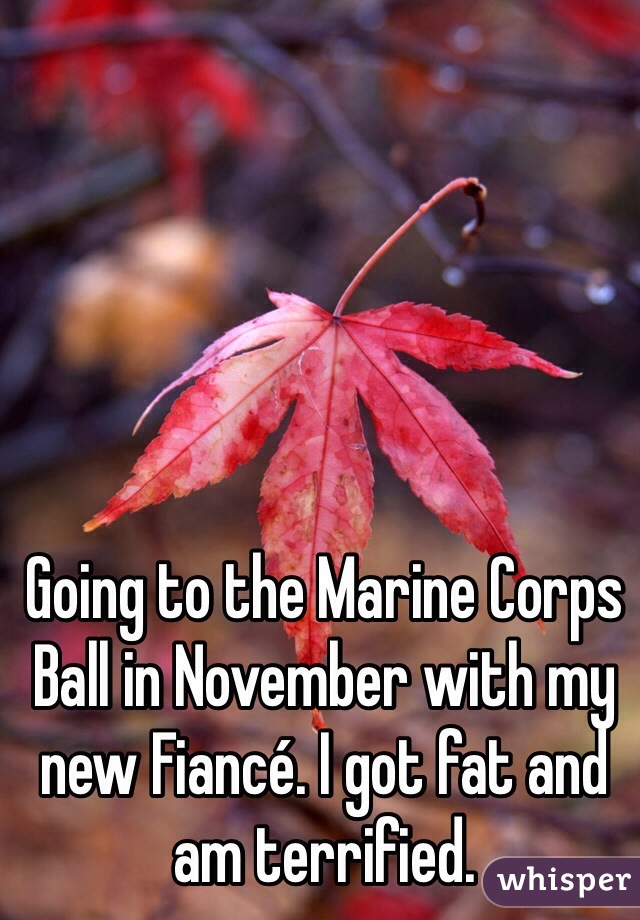 Going to the Marine Corps Ball in November with my new Fiancé. I got fat and am terrified.