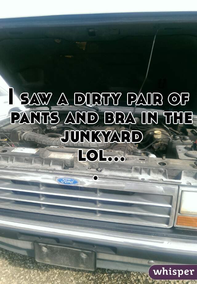 I saw a dirty pair of pants and bra in the junkyard lol.... 