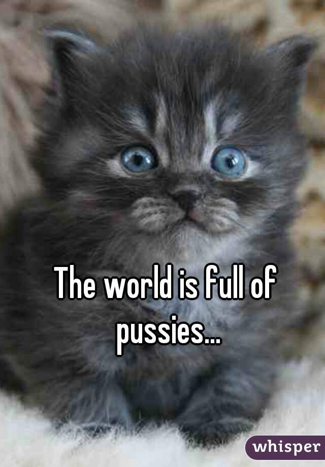 The world is full of pussies...