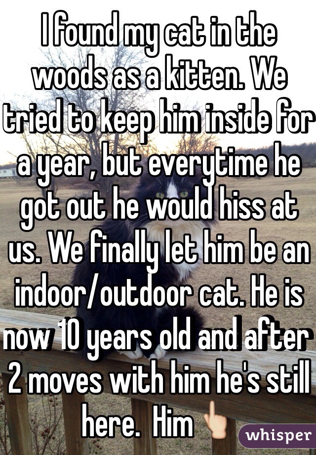 I found my cat in the woods as a kitten. We tried to keep him inside for a year, but everytime he got out he would hiss at us. We finally let him be an indoor/outdoor cat. He is now 10 years old and after 2 moves with him he's still here.  Him👆