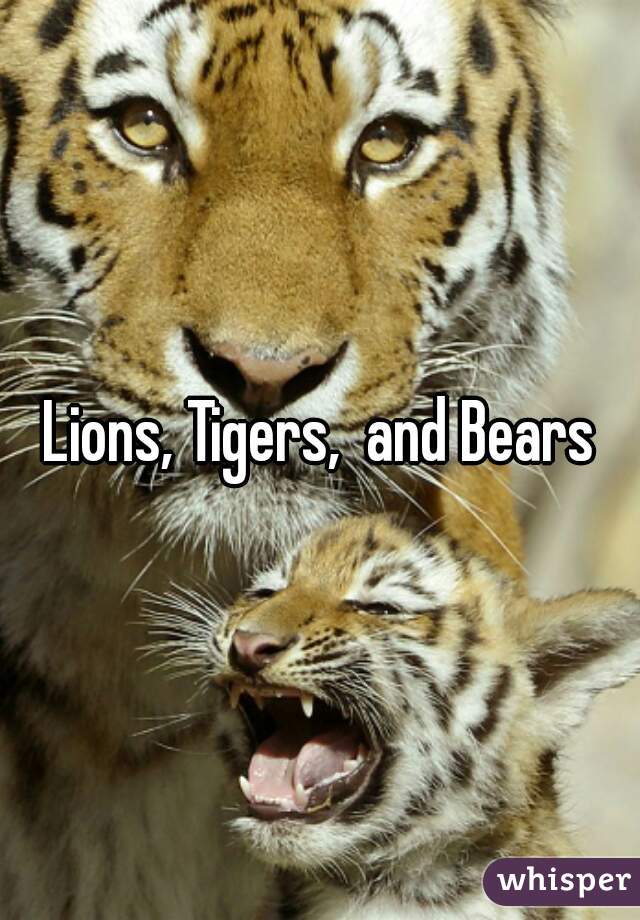 Lions, Tigers,  and Bears
