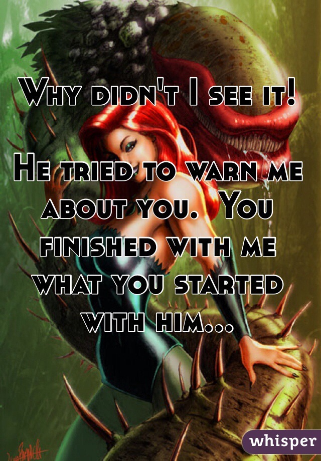 Why didn't I see it!

He tried to warn me about you.  You finished with me what you started with him...
