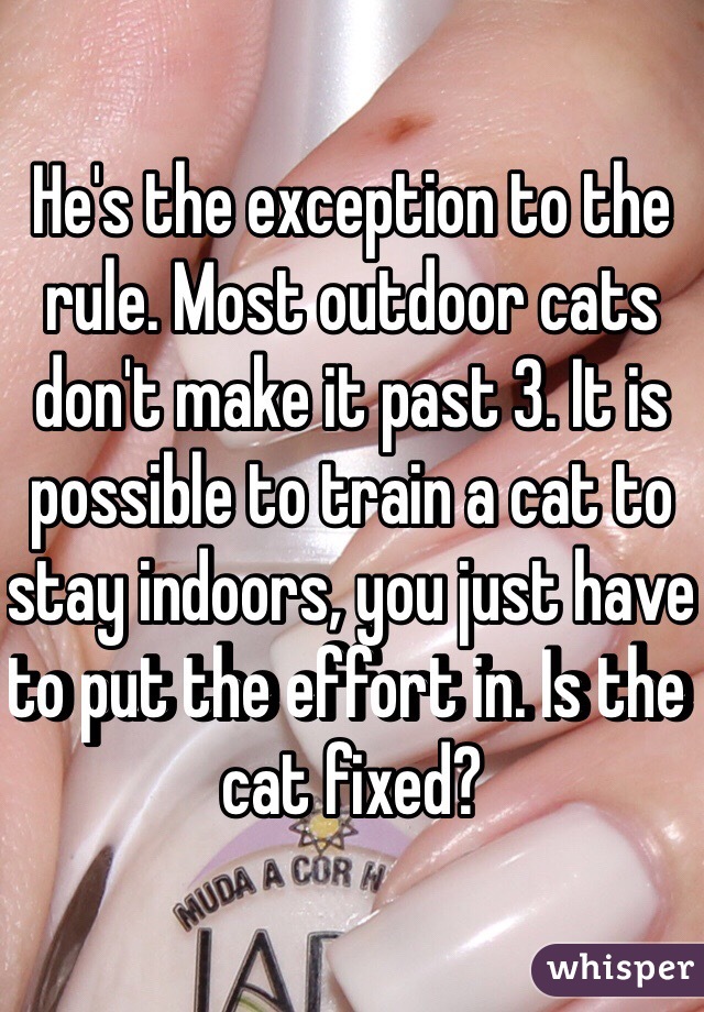 He's the exception to the rule. Most outdoor cats don't make it past 3. It is possible to train a cat to stay indoors, you just have to put the effort in. Is the cat fixed? 