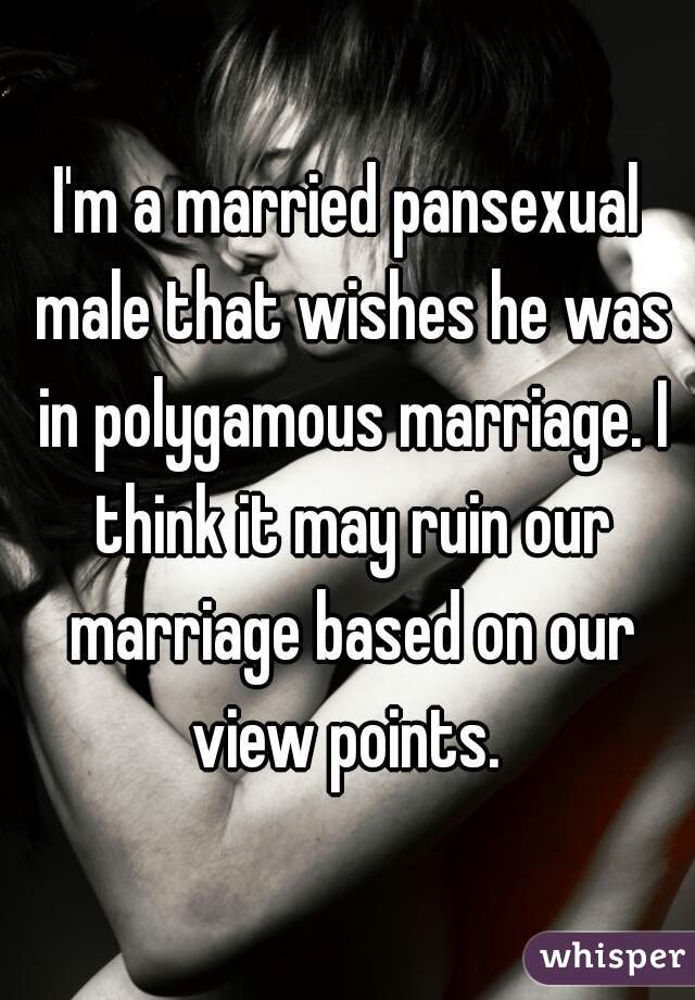 I'm a married pansexual male that wishes he was in polygamous marriage. I think it may ruin our marriage based on our view points. 