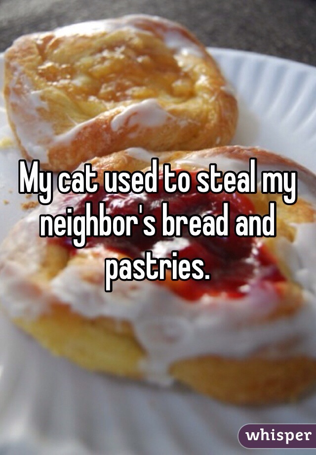 My cat used to steal my neighbor's bread and pastries.