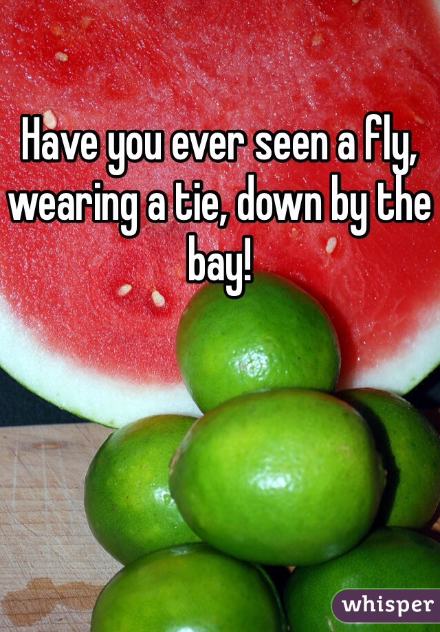 Have you ever seen a fly, wearing a tie, down by the bay!