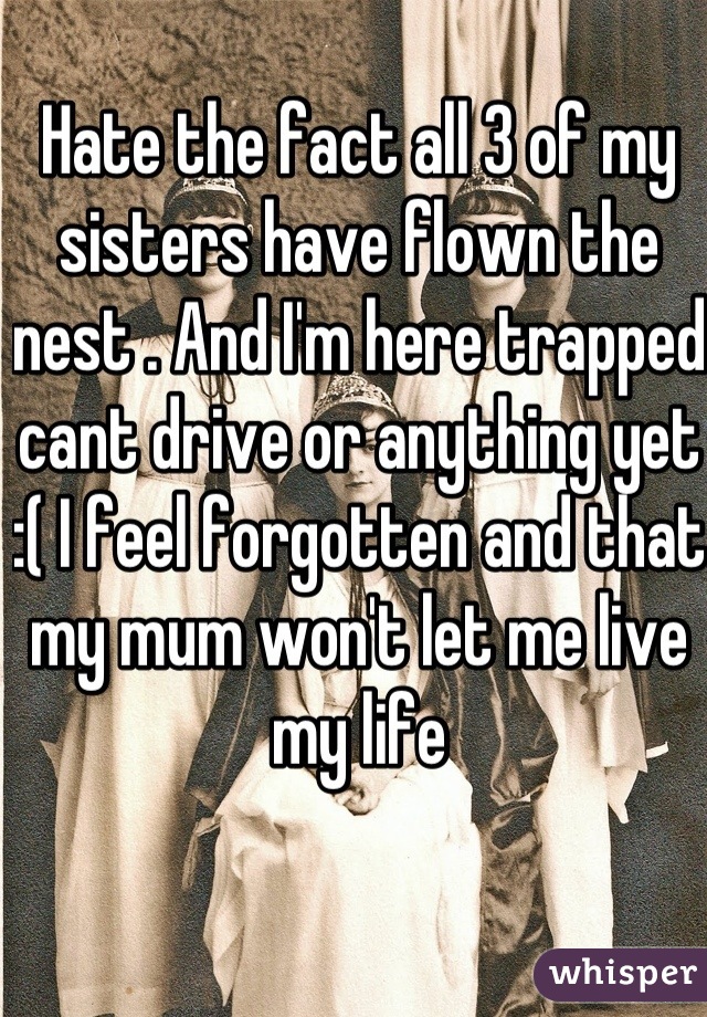 Hate the fact all 3 of my sisters have flown the nest . And I'm here trapped cant drive or anything yet :( I feel forgotten and that my mum won't let me live my life 