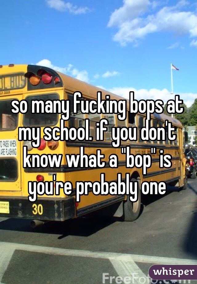 so many fucking bops at my school. if you don't know what a "bop" is you're probably one
