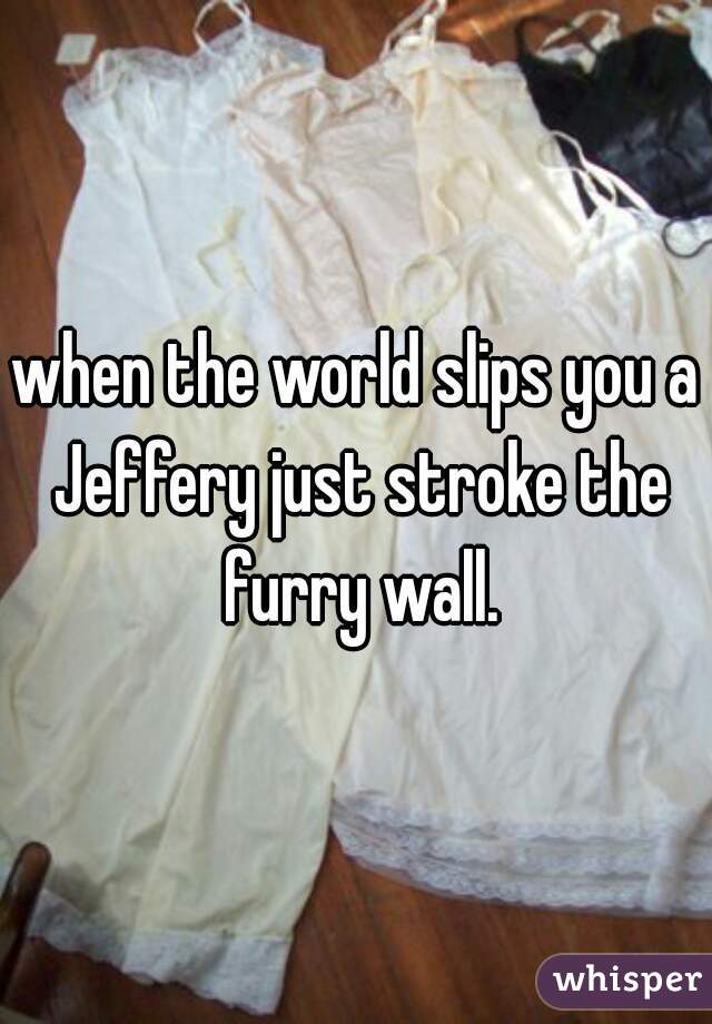 when the world slips you a Jeffery just stroke the furry wall.
