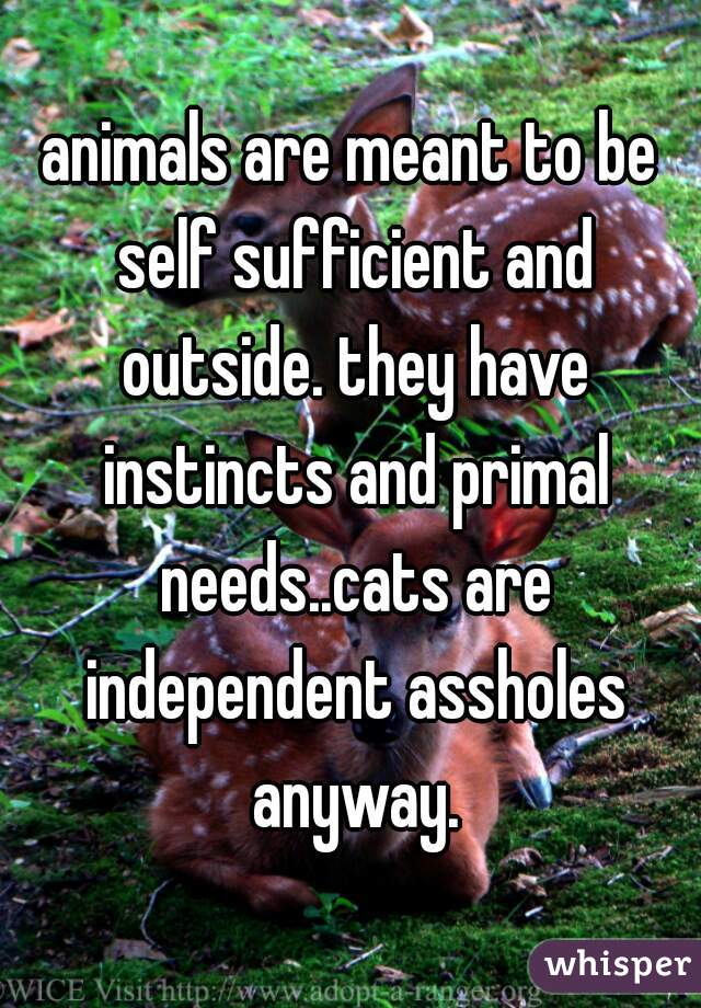 animals are meant to be self sufficient and outside. they have instincts and primal needs..cats are independent assholes anyway.