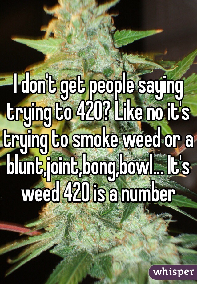 I don't get people saying trying to 420? Like no it's trying to smoke weed or a blunt,joint,bong,bowl... It's weed 420 is a number