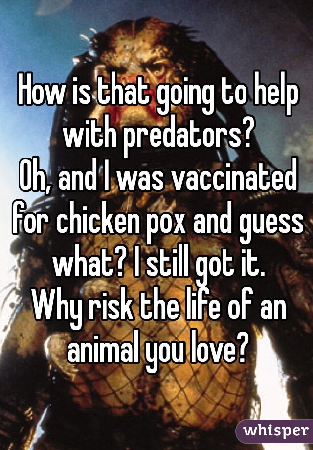 How is that going to help with predators? 
Oh, and I was vaccinated for chicken pox and guess what? I still got it.
Why risk the life of an animal you love? 