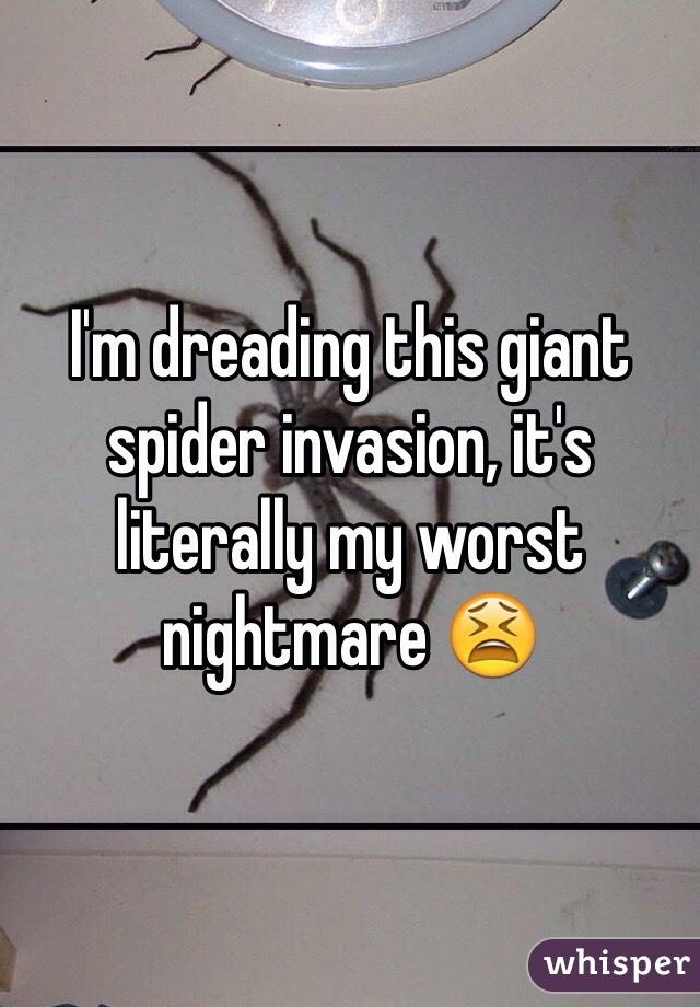 I'm dreading this giant spider invasion, it's literally my worst nightmare 😫