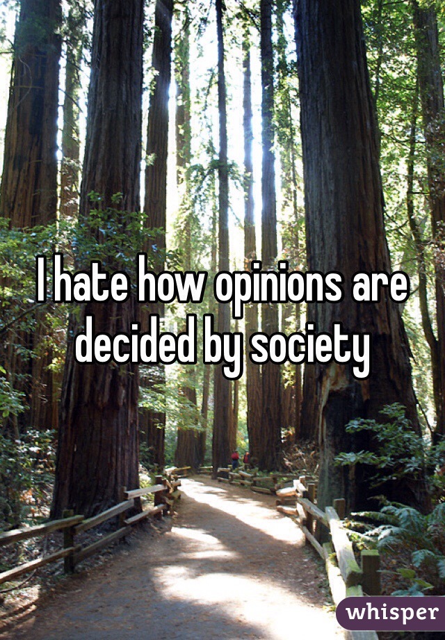 I hate how opinions are decided by society 