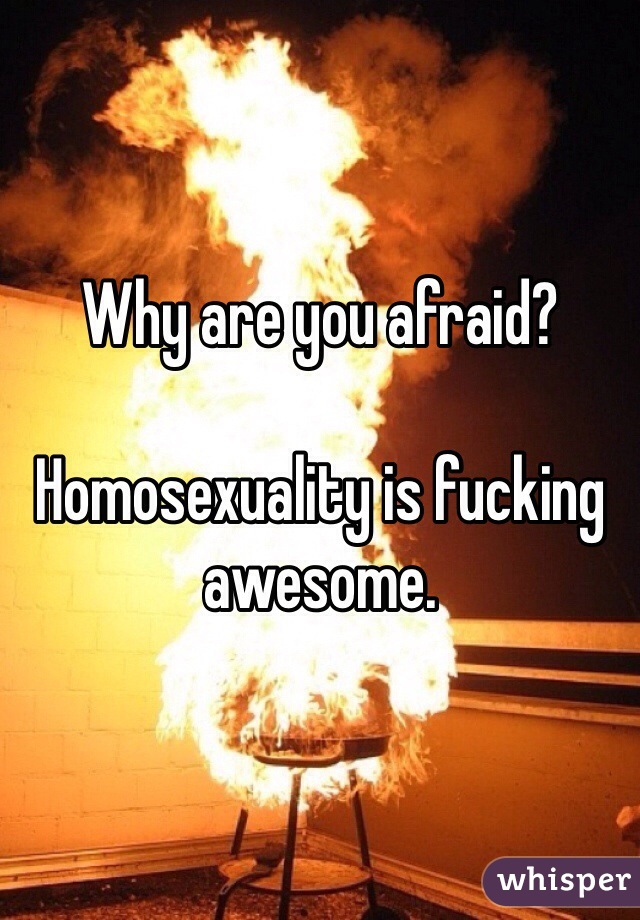 Why are you afraid?

Homosexuality is fucking awesome.