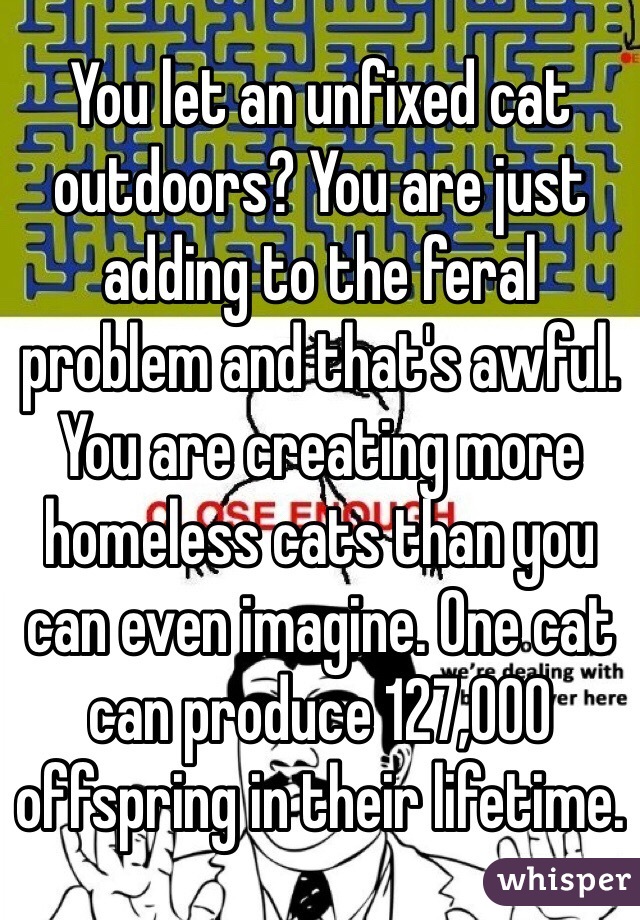 You let an unfixed cat outdoors? You are just adding to the feral problem and that's awful. You are creating more homeless cats than you can even imagine. One cat can produce 127,000 offspring in their lifetime. 