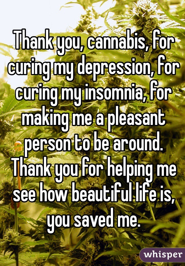 Thank you, cannabis, for curing my depression, for curing my insomnia, for making me a pleasant person to be around. Thank you for helping me see how beautiful life is, you saved me. 