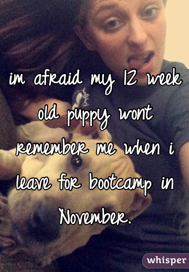 im afraid my 12 week old puppy wont remember me when i leave for bootcamp in November. 