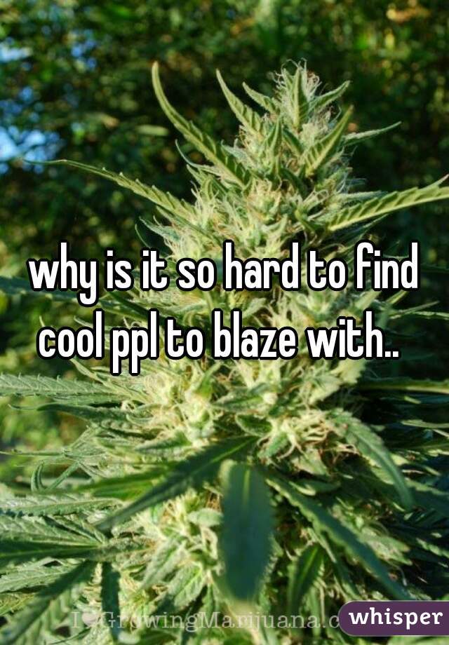 why is it so hard to find cool ppl to blaze with..  