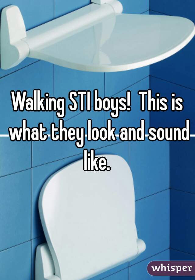 Walking STI boys!  This is what they look and sound like. 